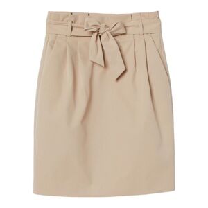 Coord Set: H&M High Waisted Skirt & Banana Republic Tank (Wardrobe Essential)